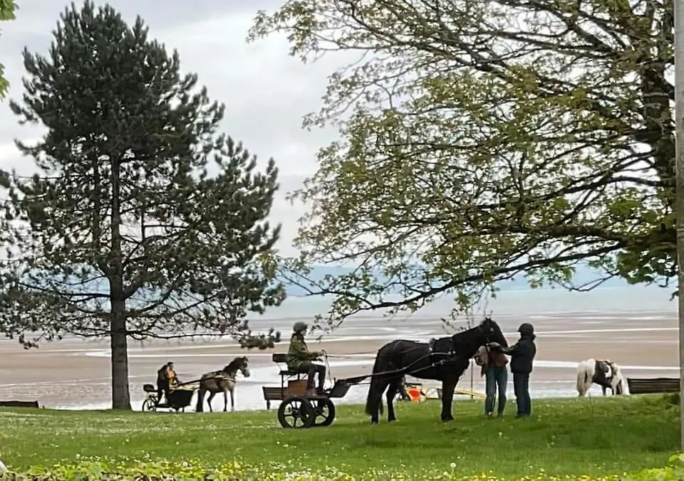 Velo Club Mumbles Bed & Breakfast Oystermouth
