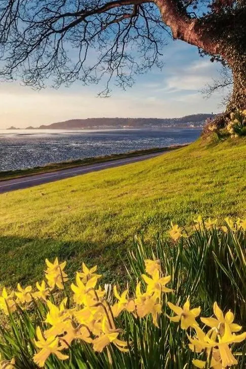 Velo Club Mumbles Bed & Breakfast Oystermouth United Kingdom
